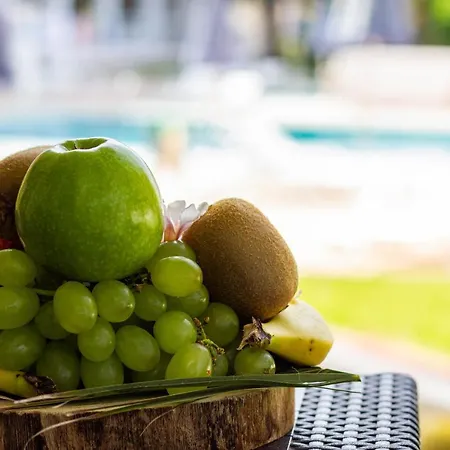 Mojo Friendly * 普拉亚戴尔雷安格莱斯